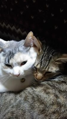 yPdY2bjrFyIXerf's profile picture. 飲み友達ほしぃなあ(照∀)/

三代目とディズニーとジブリが好き٩(๑◡๑)۶


飯田市の人仲良くしよう(*ゝω･)b


iPhone7買いたいなあ٩(๑◡๑)۶