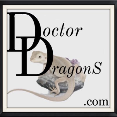Doctor_DragonS's profile picture. We Breed some of the healthiest Bearded Dragons in the country! Dragon Health always comes 1st at Doctor Dragons! Come take a free tour & learn about Dragons.
