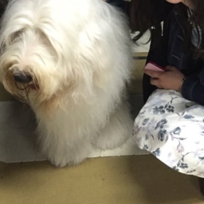 annie_tomorrow3's profile picture. ミュージカル♡劇団四季♡アニー♡ #大鹿礼生　さん