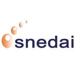 snedaigroupe's profile picture. SNEDAI Groupe, leader panafricain de la biométrie
IMMOBILIER - TRANSPORT - ENERGIE