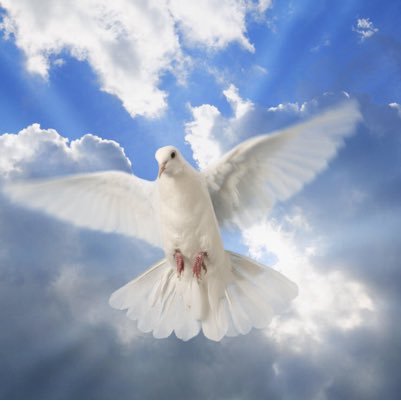 pbarc552's profile picture. #ROME: 'Sunday is OUR MARK of Authority. The Church is above the Bible. And the transference of Sabbath observance from Sat 2 Sun is proof of that fact.' ⁉️