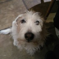 VL (@ginthebin) Twitter profile photo