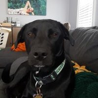 @TheRealRawski (@therealrawski) 's Twitter Profile Photo