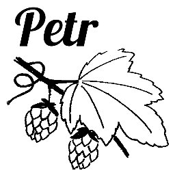 pchmel's profile picture. PhD student at Charles Uni, interested in computational complexity, graph theory (esp. intersection graphs) and their combination.