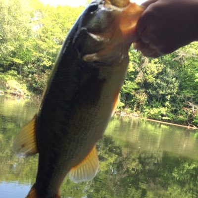 BASSfishingyuu's profile picture. バス釣り大好きですとにかく好きです！道具は全然いいものではありませんが、釣れた時は載せようと思います！バス釣り好きな人フォローお願いします フォロー返しますよ！