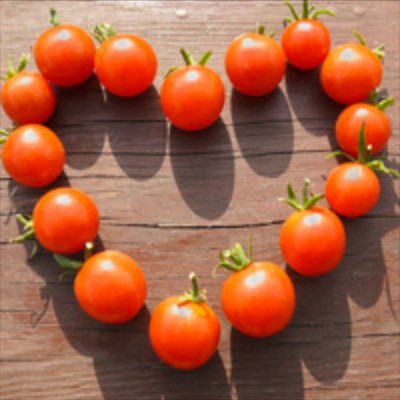 We are a nonprofit garden created by Girl Scout troop 46242. All produce goes to food pantries.