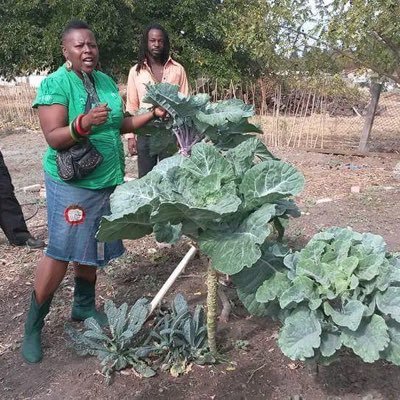 Founder Don M. Aguillard, disabled urban farmer promoting agriculture, health, ministry, youth mentoring, reentry, education & growth agriculture concepts