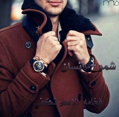 mmoo71173's profile picture. 