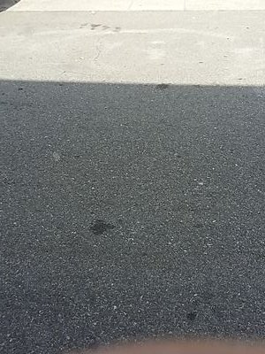 kdk509's profile picture. 