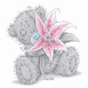 Sandrinha - @sandra_sans - Twitter