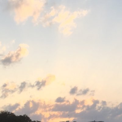 素敵写真