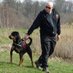 Dave Perry (@daveperry1972) Twitter profile photo Dave Perry (@daveperry1972) Twitter profile photo