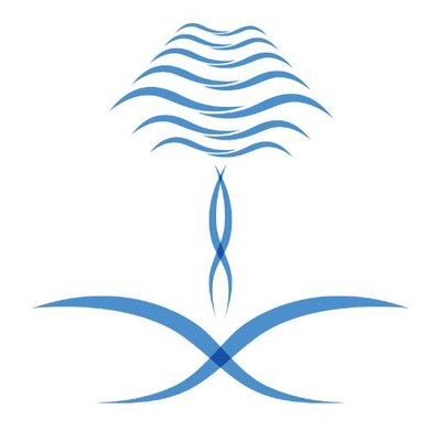 Ø§ØªØ­Ø§Ø¯ Ø§Ù„Ø³Ø¨Ø§Ø­Ø© Saudiswimming Twitter