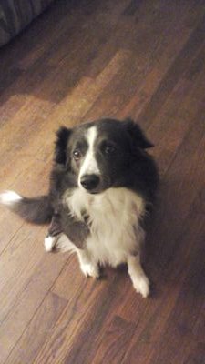 WillowcraftFarm's profile picture. 