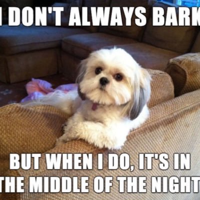 Norewon's profile picture. 