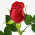 korhan alici verici (@mustafa87227983) Twitter profile photo korhan alici verici (@mustafa87227983) Twitter profile photo