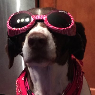 farendt33's profile picture. creative, producer, fixer, space cowboy