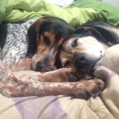 sgsierra's profile picture. 