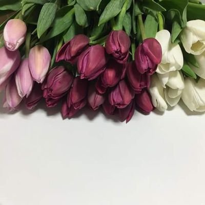 ‏‏رجعلي احساسي الامان،، رجعني اعيش مطمنه  ،،،