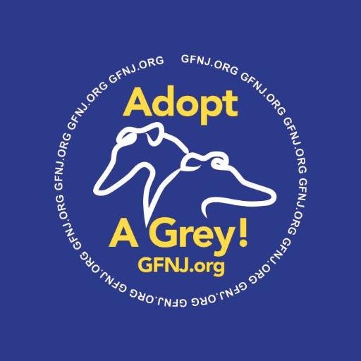 The official Twitter feed of Greyhound Friends of NJ (GFNJ), a 501(c)(3) org dedicated to placing retired racing greyhounds into loving homes since 1986.