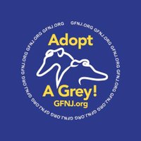 Greyhound Friends NJ(@GFofNJ) 's Twitter Profile Photo