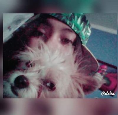 Natacha5150284's profile picture. amo los animales con todo mi kokoro :')