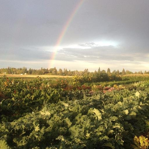 The garden supports Tubahumurize, a non-profit organization based in Rwanda that supports and empowers socially and economically marginalized women.
