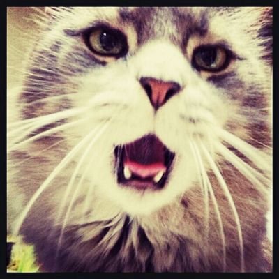 2010年「キムサムスン」を見てヒョンビンに、そして韓流にハマる。