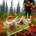 ابحث عن شريكت حياتي (@mhgkjqwy2) Twitter profile photo ابحث عن شريكت حياتي (@mhgkjqwy2) Twitter profile photo