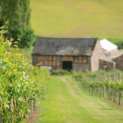 White Castle Vineyard is owned by Robb & Nicola Merchant  one of Wales premier wine producers of award winning quality Welsh Wines