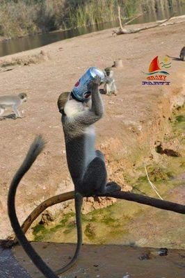 DNYFqeZ8xRTst0D's profile picture. 