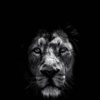 Abdulrahman Ahmad (@maulem) 's Twitter Profile