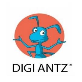 Digi Antz is a full-service digital agency that devises targeted strategies to help grow your business.