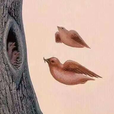 mag110011's profile picture. « سُبْحَانَكَ اللَّهُمَّ وبَحَمْدكَ أشْهدُ أنْ لا إلهَ إلا أنْتَ أَسْتَغْفِرُكَ وأتُوبُ إِلَيْكَ »