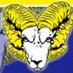 Robinson Volleyball (@roboramsvball) Twitter profile photo Robinson Volleyball (@roboramsvball) Twitter profile photo