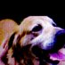 Haagen Dog (@qxdjtkszvh04uej) Twitter profile photo Haagen Dog (@qxdjtkszvh04uej) Twitter profile photo