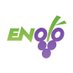 Enolo (@enoloit) Twitter profile photo