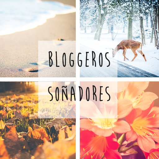 BlogsSonhadores's profile picture. Twitter de la iniciativa Blogger Bloggeros Soñadores.