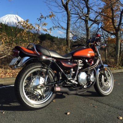 horizontal_ami's profile picture. 🫠🫠🫠