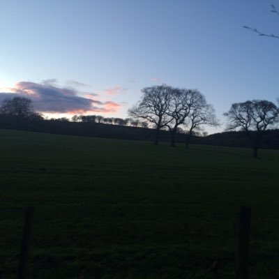 PhoebeBanks29's profile picture. 