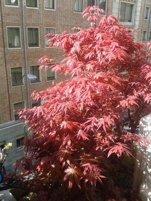 jmsanm's profile picture. 