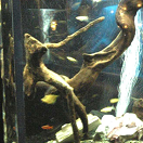 sitsotg's profile picture. 外に心を向け、落ち着いて素早く率先窮(躬)行。余韻を楽しみのんびり。徳と戦略と想像力と実践。貢献と責任。思考と感性。好奇心。その場の盛り上がりと生まれたものの継続。変化と成長。理解と共感。対話。呼吸。感謝。氣。肯定。「必ず治る(治す)よ。治る(治す)さ。元氣だ。益々健康だ」