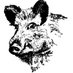 friendly boar 🐗 (@FriendlyBoar) Twitter profile photo
