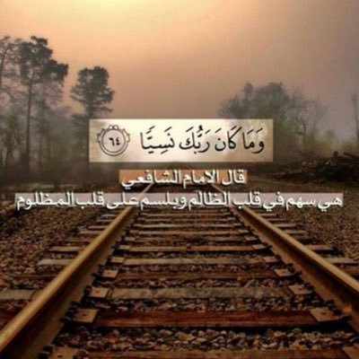 shinyflower8088's profile picture. Master degree in organizational leadership
 leadership styles as a tool for successful SMEs in oman