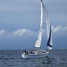 SeaQuestMDR's profile picture. Sailing for sanity. Save lives, wear a mask. Not a blue check