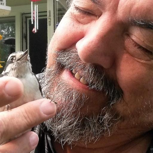 mrdontoba's profile picture. P.O.Box 2294