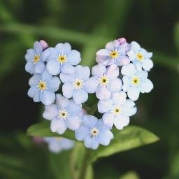 初心者プランター菜園＆ハーブ＠北海道
北海道で初心者でもできる小規模なプランター菜園やハーブ、ガーデニングに挑戦中。