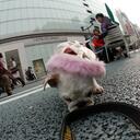 john amante - @amantesan - Twitter