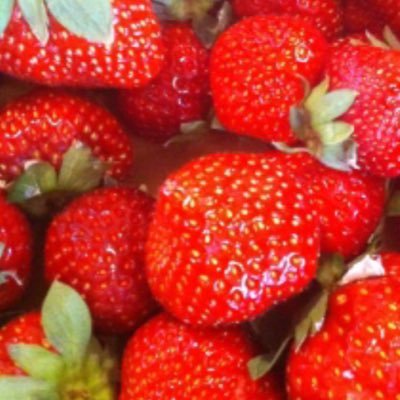 ichigo_sukinan's profile picture. 