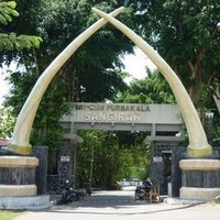 Museum Sangiran (@museumsangiran) 's Twitter Profile Photo